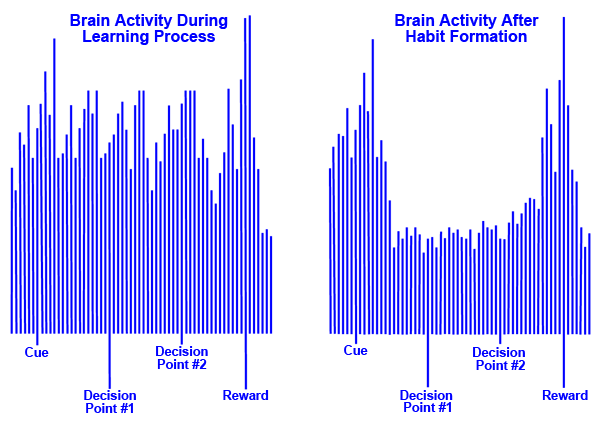 brain activity and habit formation
