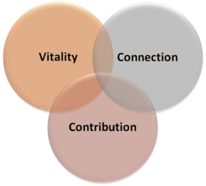 vitality, connection, contribution
