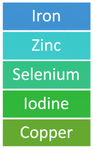 iron, zinc, selenium, iodine, copper