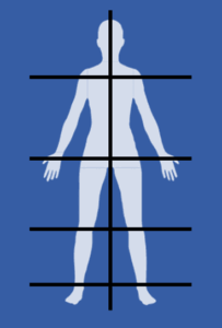 skeletal alignment